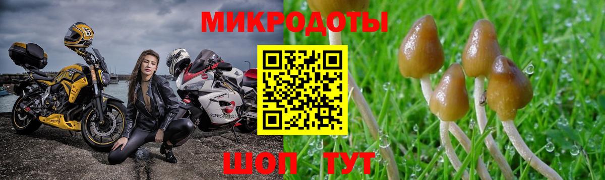 Галлюциногенные грибы прущие грибы  Вход с VPN  Дивногорск 